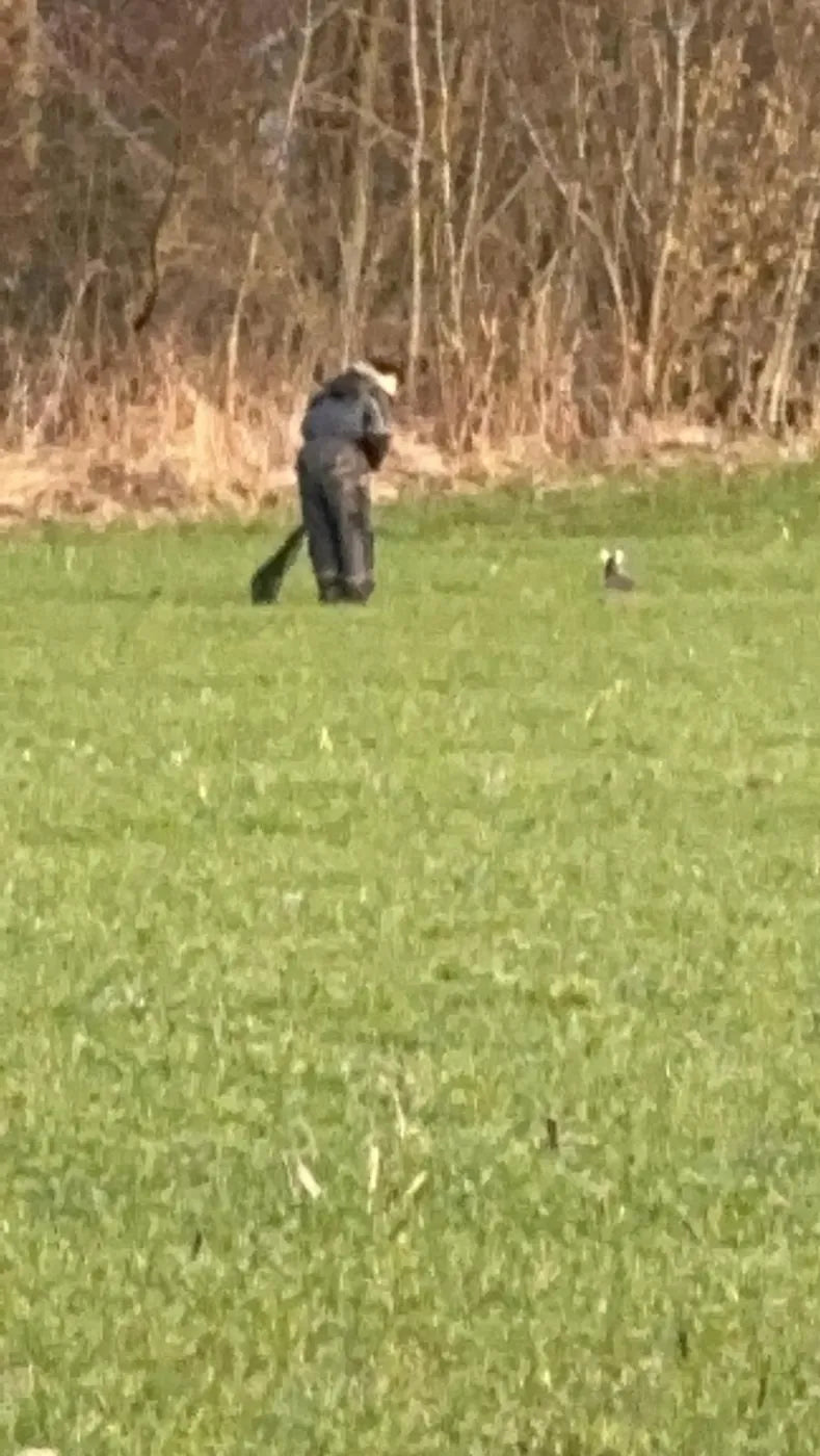 Der sidder han! Nettet er gemt på ryggen.