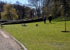 Braendesgaardshaven-Bornholm_01_05_2017-49.JPG