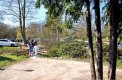 DSC_4872.jpg