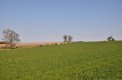 DSC_5018.jpg
