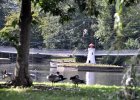 DSC_5982.JPG