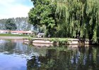 DSC_5987.JPG